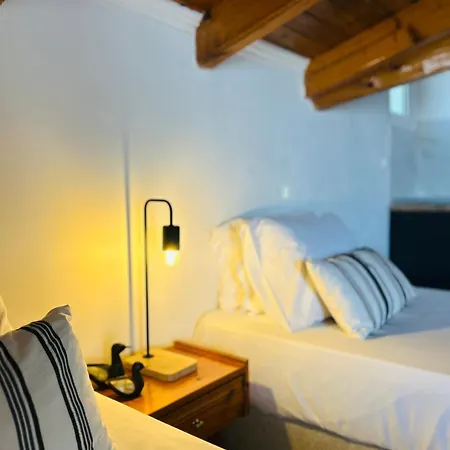 Paradises's Nest