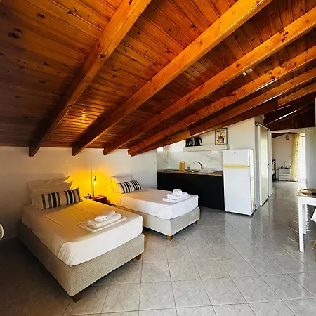 Paradises's Nest *