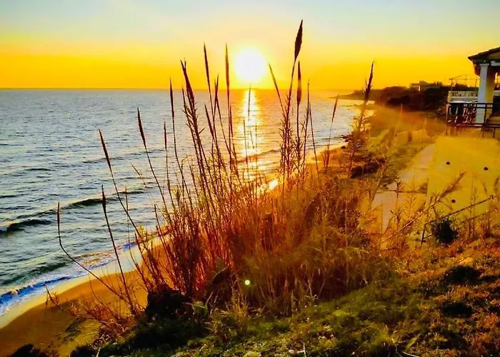 Paradises's Nest