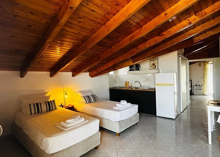 Paradises's Nest *